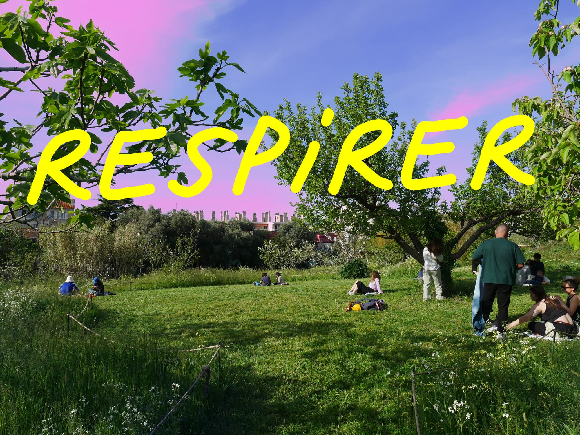 Respirer — habitant·es allongé·es dans l'herbe sous les arbres du jardin